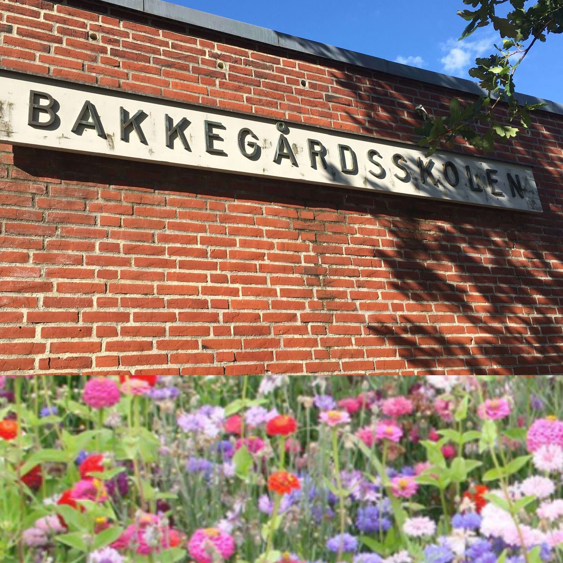 Bakkegårdsskolens navneskilt